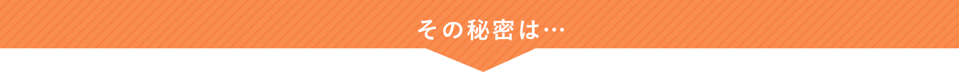 その秘密は…